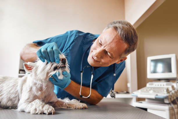 Best 24-Hour Emergency Dentist in Lathrup Village, MI